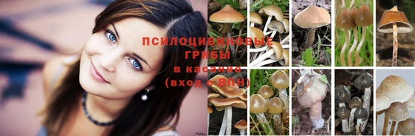 меф Аркадак
