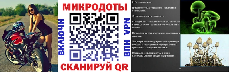 Галлюциногенные грибы прущие грибы  Вязники 